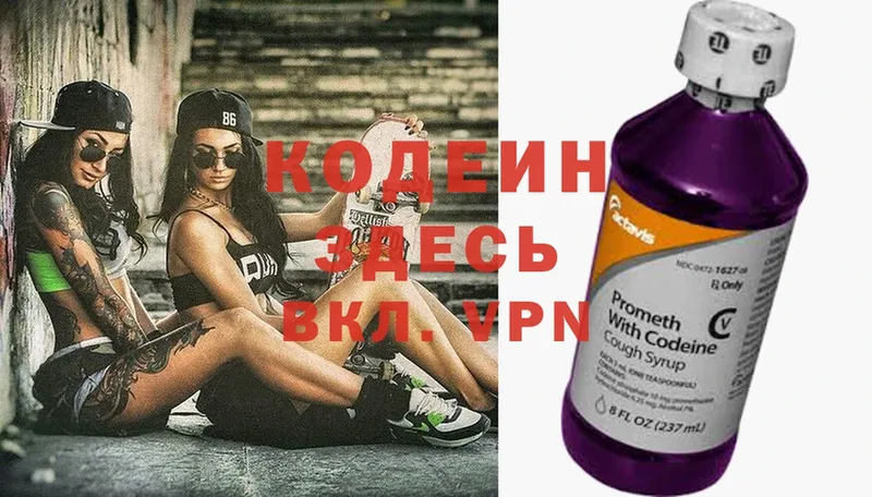 цена наркотик  мориарти официальный сайт  Кодеиновый сироп Lean Purple Drank  Карачаевск 